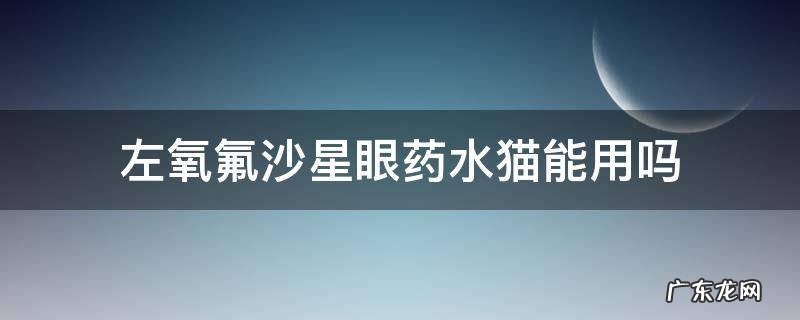 左氧氟沙星眼药水猫能用吗 诺氟沙星眼药水猫咪可以用吗
