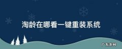 淘龄在哪看一键重装系统 淘龄在哪里查看