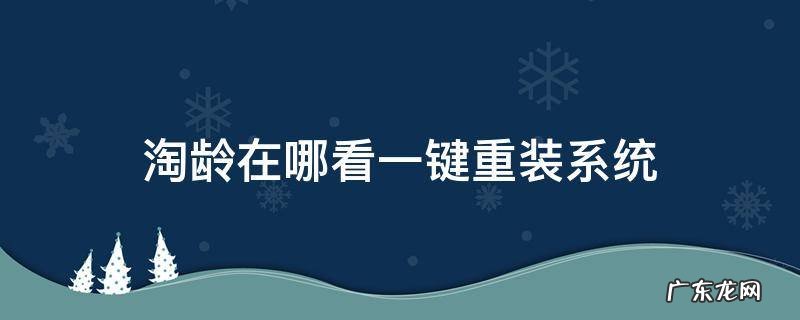 淘龄在哪看一键重装系统 淘龄在哪里查看