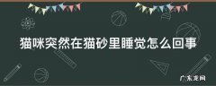 猫为什么突然在猫砂盆睡觉 猫咪突然在猫砂里睡觉怎么回事