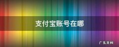 支付宝账号在哪 支付宝账号在哪里查得到
