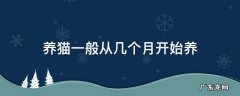 养猫一般从几个月开始养 养猫几个月好