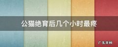 公猫绝育后几个小时最疼 公猫绝育后多久开始疼
