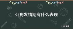公狗发情期有什么表现