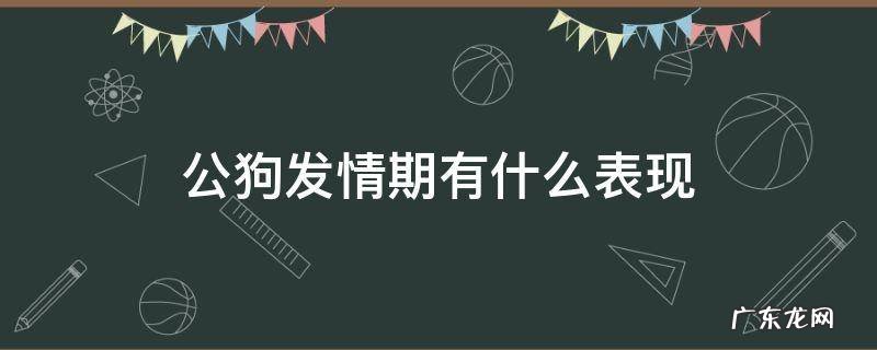 公狗发情期有什么表现