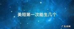 美短第一次能生几个 美短一次生几只