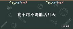 狗不吃不喝能活几天 狗不吃不喝能活几天怎么办