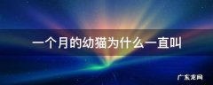 一个月幼猫老是叫 一个月的幼猫为什么一直叫