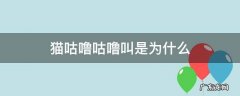 猫咕噜咕噜叫是为什么? 猫咕噜咕噜叫是为什么