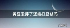 黄豆长芽了还能打豆浆吗 黄豆发芽了还能打豆浆吗