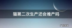 猫第一次顺产第二次会难产吗 猫第二次生产还会难产吗