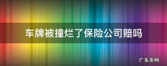 撞车车牌子坏了保险赔吗 车牌被撞烂了保险公司赔吗