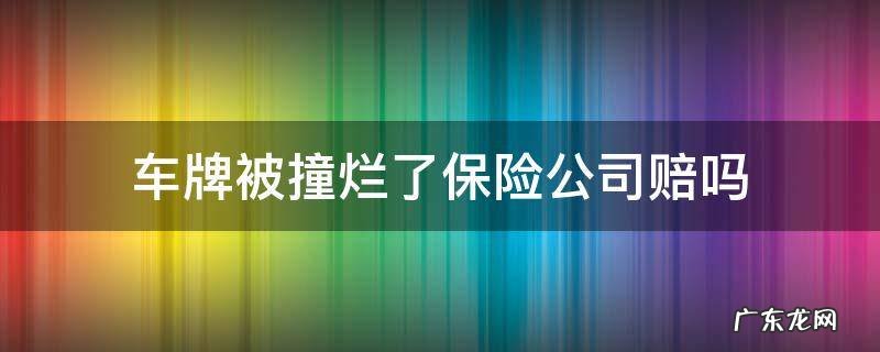 撞车车牌子坏了保险赔吗 车牌被撞烂了保险公司赔吗