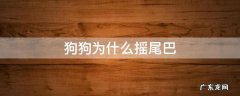 狗狗为什么摇尾巴吐舌头 狗狗为什么摇尾巴
