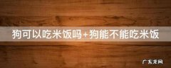 狗可以吃米饭吗,熟的 狗可以吃米饭吗