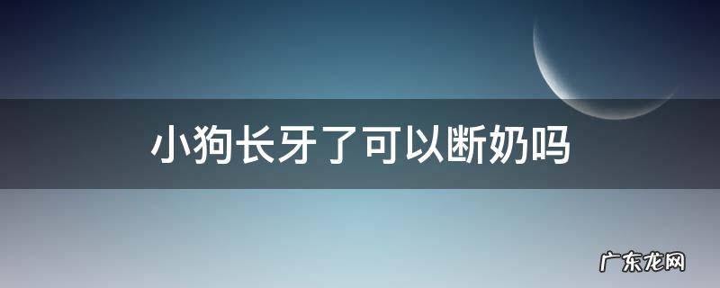 小狗长牙了还能吃奶吗 小狗长牙了可以断奶吗