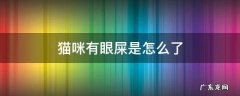 猫咪有眼屎是怎么回事 猫咪有眼屎是怎么了