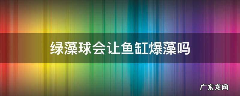 绿藻球会不会爆藻 绿藻球会让鱼缸爆藻吗