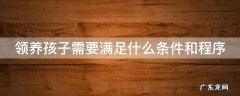 领养孩子需要满足什么条件和程序 领养孩子需要达到什么条件