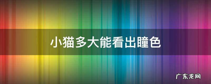小猫多大能看出瞳色 小猫多久可以看出瞳孔的颜色