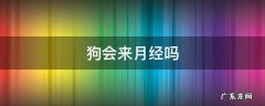 狗会来月经吗 狗会来月经吗正常几天