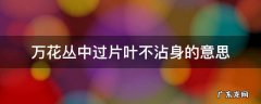 万花丛中过片叶不沾身的意思 万花丛中过片叶不沾身的意思相同的句子