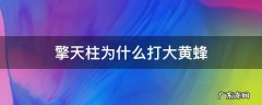 擎天柱为什么打大黄蜂 擎天柱为什么和大黄蜂打起来