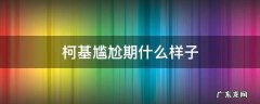 柯基的尴尬期是什么样子的 柯基尴尬期什么样子