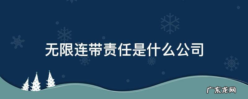 承担无限连带责任的公司 无限连带责任是什么公司