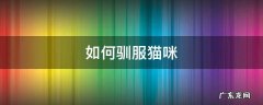 我的世界如何驯服猫咪 如何驯服猫咪