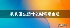 狗狗什么时候喂驱虫药比较好 狗狗驱虫药什么时候喂合适