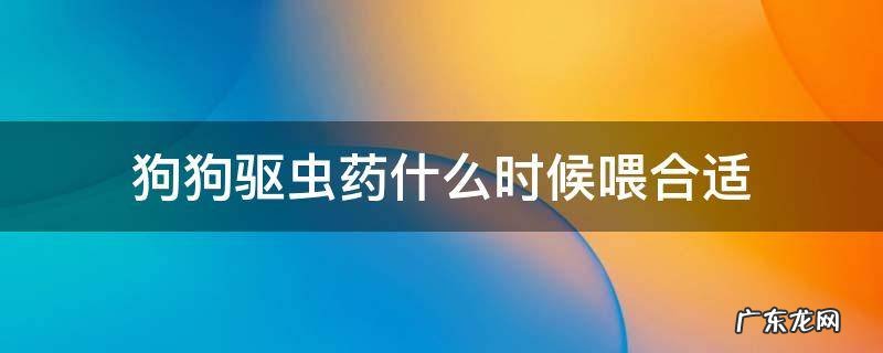 狗狗什么时候喂驱虫药比较好 狗狗驱虫药什么时候喂合适