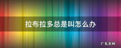 拉布拉多总是乱叫怎么办 拉布拉多总是叫怎么办