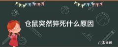 仓鼠突然猝死什么原因 仓鼠突然死亡是什么原因