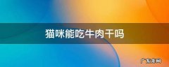 猫咪能吃牛肉干吗 宠物猫能吃牛肉干吗