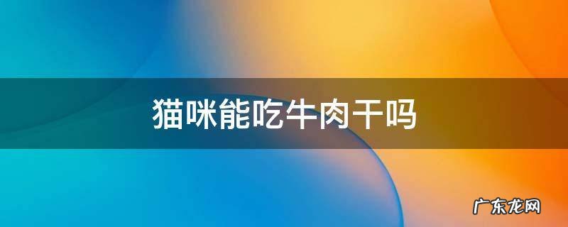 猫咪能吃牛肉干吗 宠物猫能吃牛肉干吗