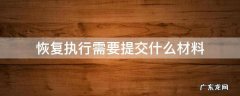 恢复执行申请需要准备些什么资料 恢复执行需要提交什么材料