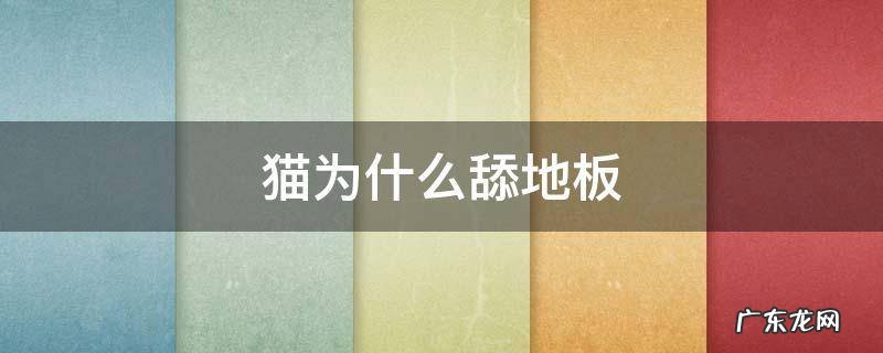 猫为什么舔地板 猫为什么舔地板舔鞋底