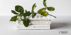学做韩国泡菜萝卜，轻松享受酸爽口感！