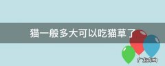猫咪猫草多大可以吃 猫一般多大可以吃猫草了