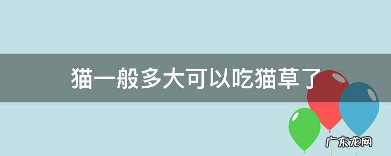 猫咪猫草多大可以吃 猫一般多大可以吃猫草了