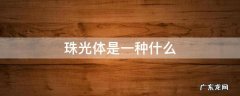 珠光体是一种什么 珠光体是一种什么体