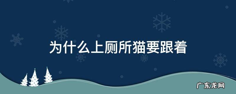 为什么上厕所猫要跟着 为什么上厕所猫咪一定要跟着