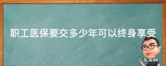 合肥职工医保要交多少年可以终身享受 职工医保要交多少年可以终身享受