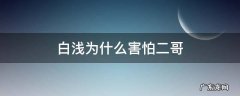 白浅的大哥 白浅为什么害怕二哥