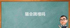 猫会跳楼吗 猫会从高楼跳下去吗