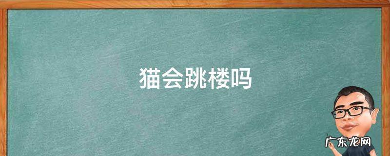 猫会跳楼吗 猫会从高楼跳下去吗