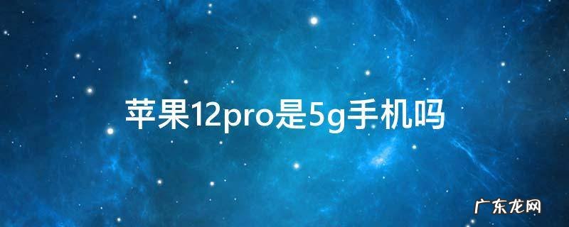 iphone11pro是5g手机吗 苹果12pro是5g手机吗
