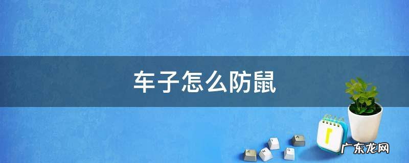 车子怎么防鼠 车子如何防鼠
