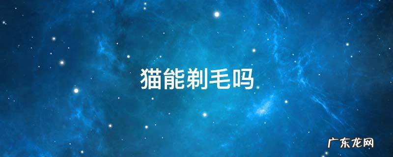 猫能剃毛吗 加菲猫能剃毛吗